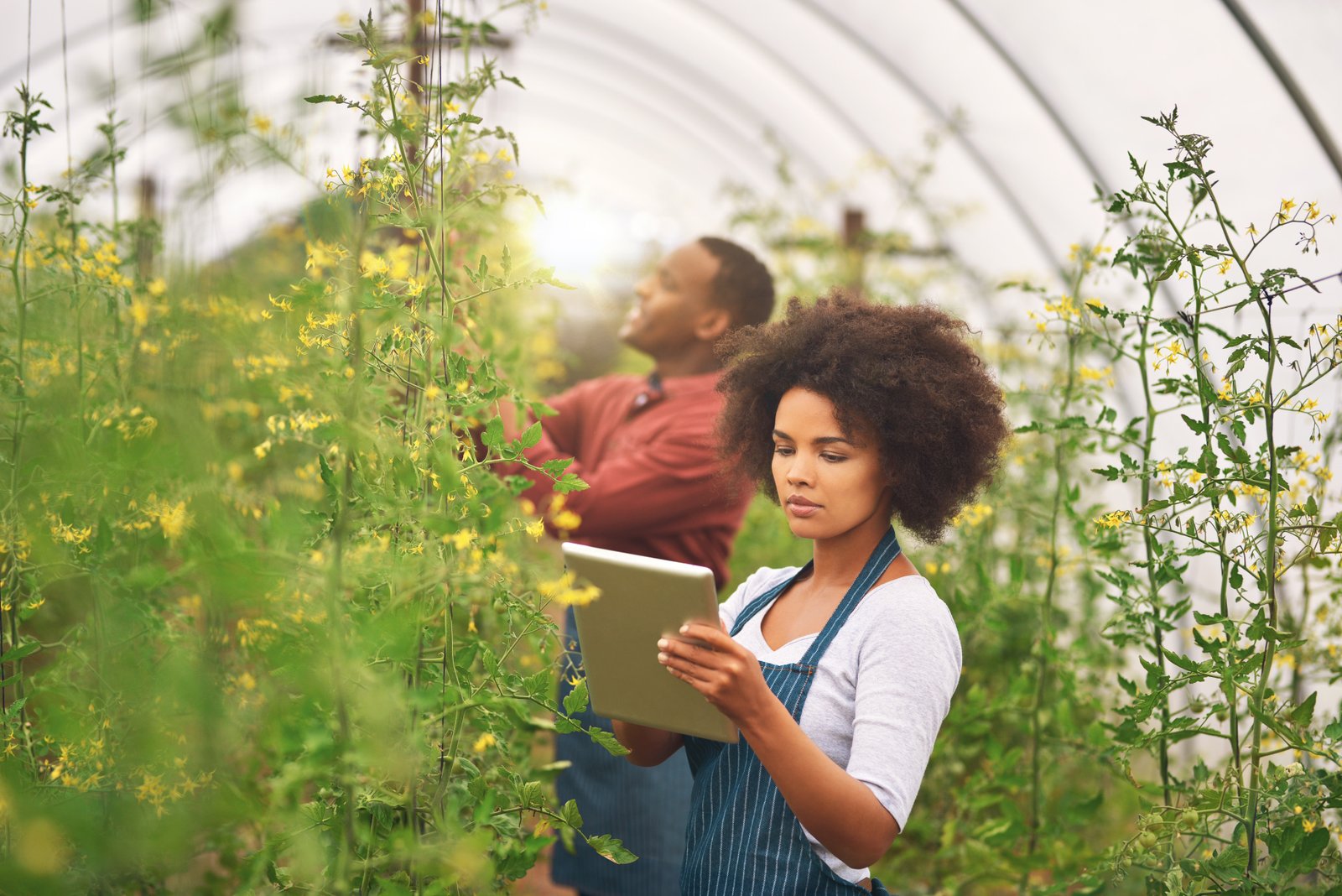 Modern Farming Technologies