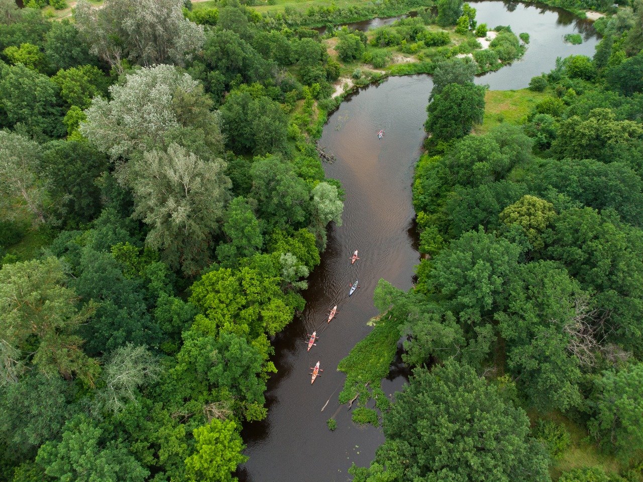 Supply Chain & Market Access